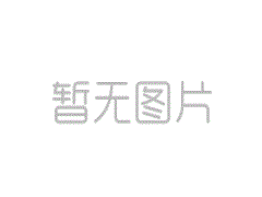 2013级学生专职辅导员的决定